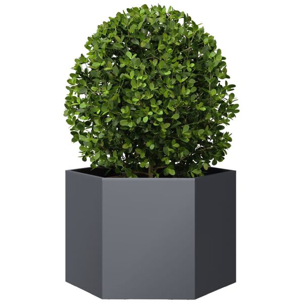 vidaXL Garden Planter Anthracite Hexagon 69x60x45 cm Steel