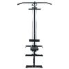 vidaXL Lat Pulldown Machine Manual Black 110 x 70 x 187 cm