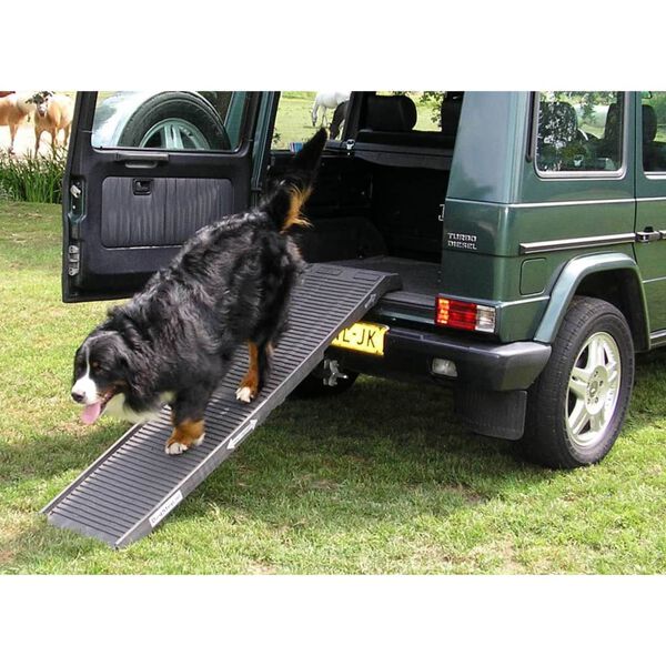 PetSafe Dog Ramp 180x45x6 cm Anthracite