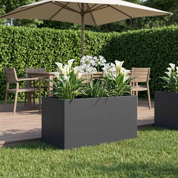 Showing Product Image 2 of 7