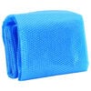vidaXL Rectangular Pool Cover 800x500 cm PE Blue