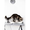 MyKotty Cat Scratcher TOBI 59x25x6.9 cm White 3087