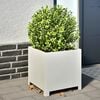 Product Thumbnail Image 2 of 12