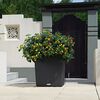 LECHUZA Planter CUBE Cottage 40 ALL-IN-ONE Granite