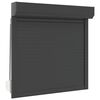 vidaXL Roller Shutter Manual Anthracite 100 x 100 cm