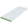 vidaXL Mattress Pads White and Green 70 x 200 cm