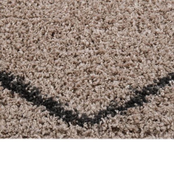vidaXL Shaggy Rug High Pile Beige and Anthracite 200x290 cm