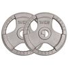 vidaXL Olympic Weight Plates 2 pcs 30 kg Cast Iron
