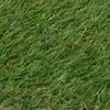 Product Thumbnail Image 3 of 3