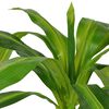 Product Thumbnail Image 2 of 2