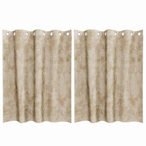 vidaXL Velvet Curtains with Curtains 2 pcs Cream 140 x 140 cm Velvet