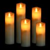 vidaXL 5 Piece Electric LED Candle Set with Remote Control Warm White