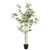 Product Thumbnail Image 4 of 7
