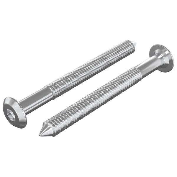 vidaXL Furniture Screws 2 pcs Silver M6 x 60 mm Steel