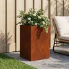 Product Thumbnail Image 2 of 12