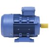 vidaXL 3 Phase Electric Motor Aluminium 2.2kW/3HP 2 Pole 2840 RPM