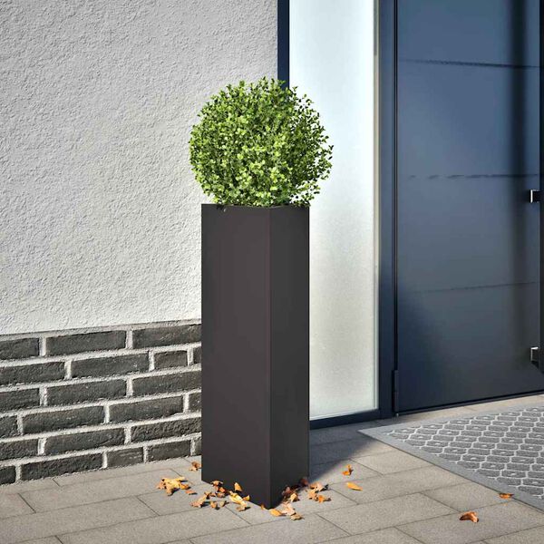 Showing Product Image 2 of 11