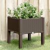Product Thumbnail Image 2 of 8