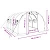 vidaXL Greenhouse with Steel Frame White 12 m² 4x3x2 m