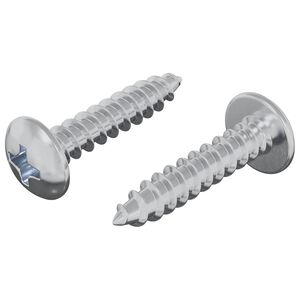 vidaXL Wood Screws 2 pcs Silver M4 x 20 mm Steel