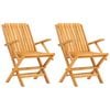 vidaXL Folding Chairs 2 pcs 61x67x90 cm Solid Wood Teak