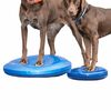 FitPAWS Pet Balance Disc 36 cm Blue