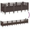 Product Thumbnail Image 6 of 8
