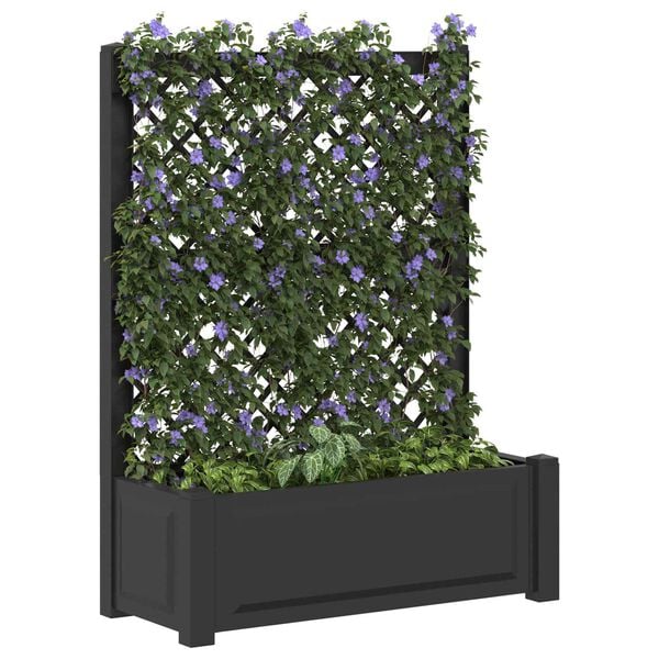 Showing Product Image 2 of 7