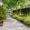 Olive_green