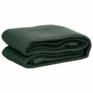 vidaXL Tent Carpet 250x200 cm HDPE Green