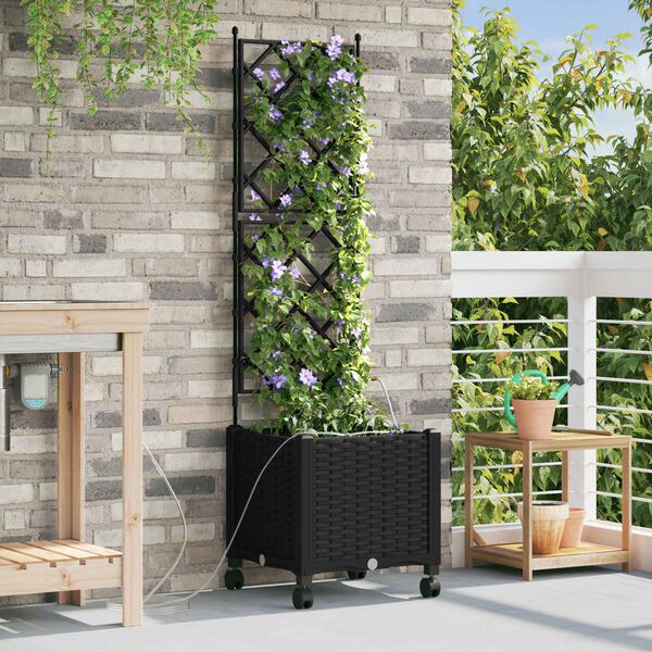 Showing Product Image 2 of 7