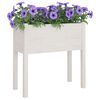 vidaXL Garden Planters 2 pcs White 70x31x70 cm Solid Pinewood