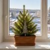 Product Thumbnail Image 2 of 7