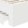 Product Thumbnail Image 10 of 15
