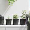 vidaXL Flower Pot 50 pcs Black &Oslash; 15 x 13 cm Plastic