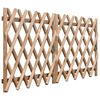 vidaXL Garden Gates 2 pcs Impregnated Pinewood 300x100 cm