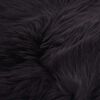 Product Thumbnail Image 4 of 4