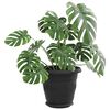 Product Thumbnail Image 3 of 12