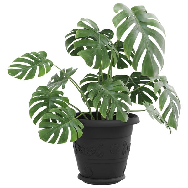 Showing Product Image 3 of 12
