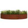 vidaXL Planter Ring Brown 120 x 120 x 20 cm Weathering Steel