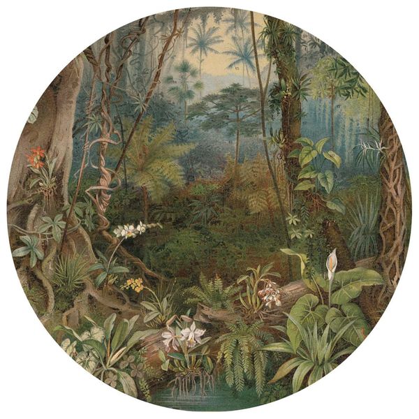 WallArt Wallpaper Circle In the Jungle 190 cm