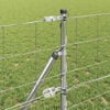 Product Thumbnail Image 4 of 17