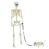 vidaXL Halloween Decoration Skeleton 2 pcs White Polypropylene