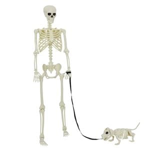 vidaXL Halloween Decoration Skeleton 2 pcs White Polypropylene