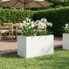 Product Thumbnail Image 2 of 7