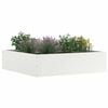 vidaXL Lawn Edging White 50 x 50 x 13 cm Steel