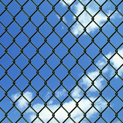 vidaXL Chain Link Fence with Posts Spike Steel 0,8x25 m
