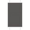 vidaXL Pleated Blind Black 70x150 cm Fabric Width 69.4 cm Polyester