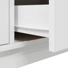 vidaXL TV Cabinet with LED Lights White 100x41x50 cm