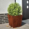 Product Thumbnail Image 2 of 12